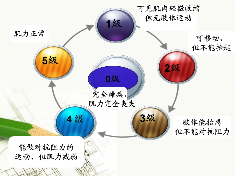 肌力分级和康复锻炼讲义课件.ppt_第3页