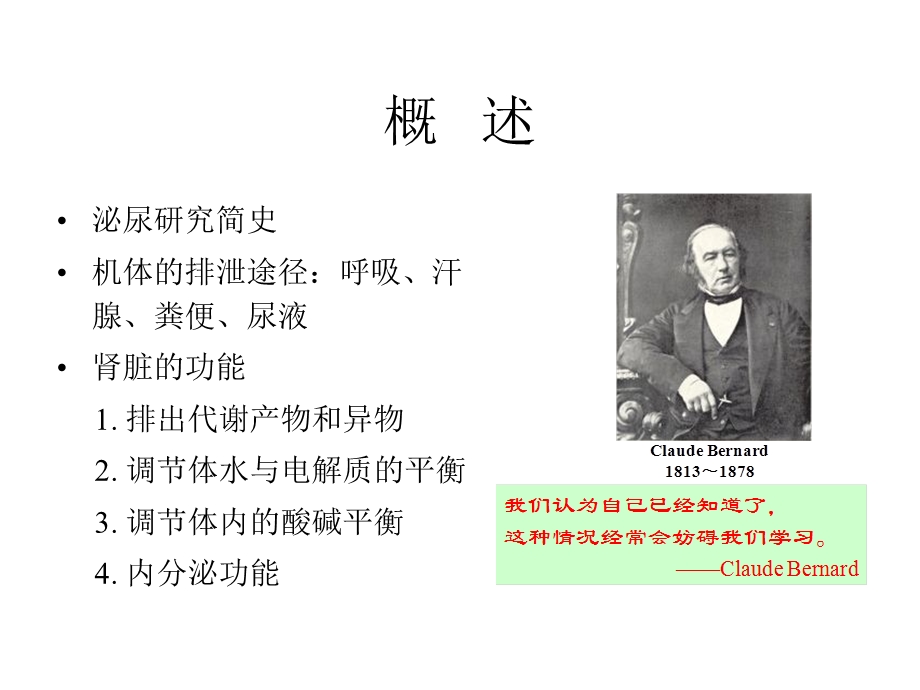 肾脏的功能课件.ppt_第2页