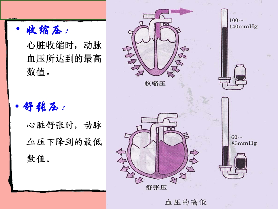 测量血压正确方法课件.ppt_第3页