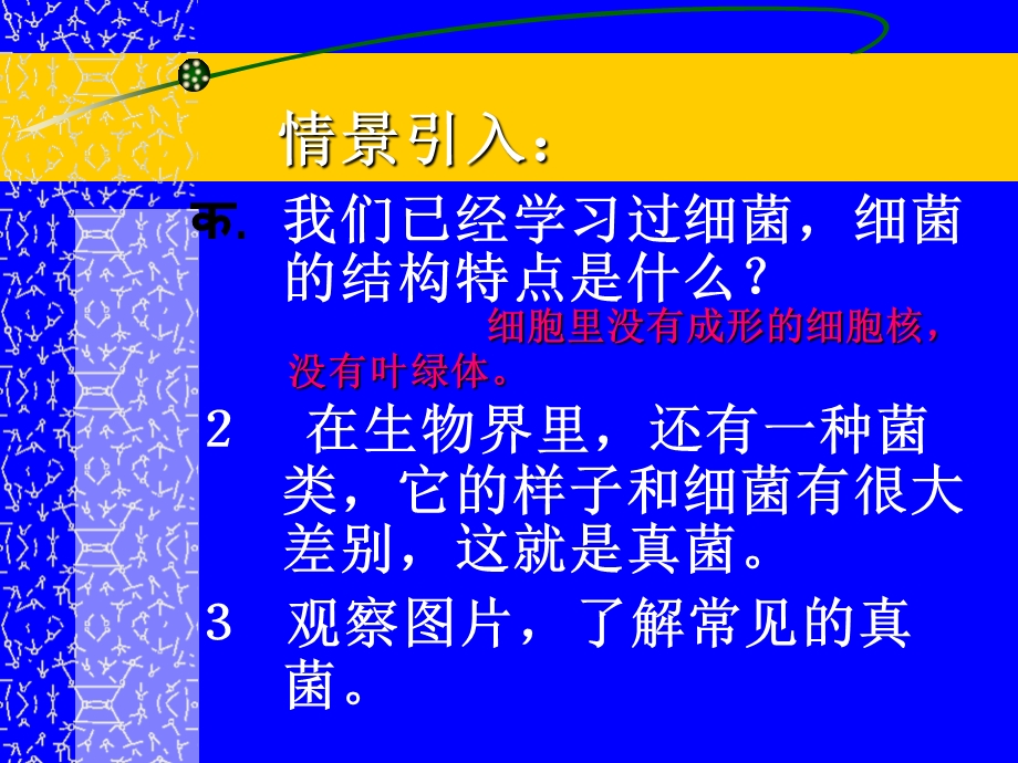 济南版七年级上册生物ppt课件：2.3.3 真菌.ppt_第3页