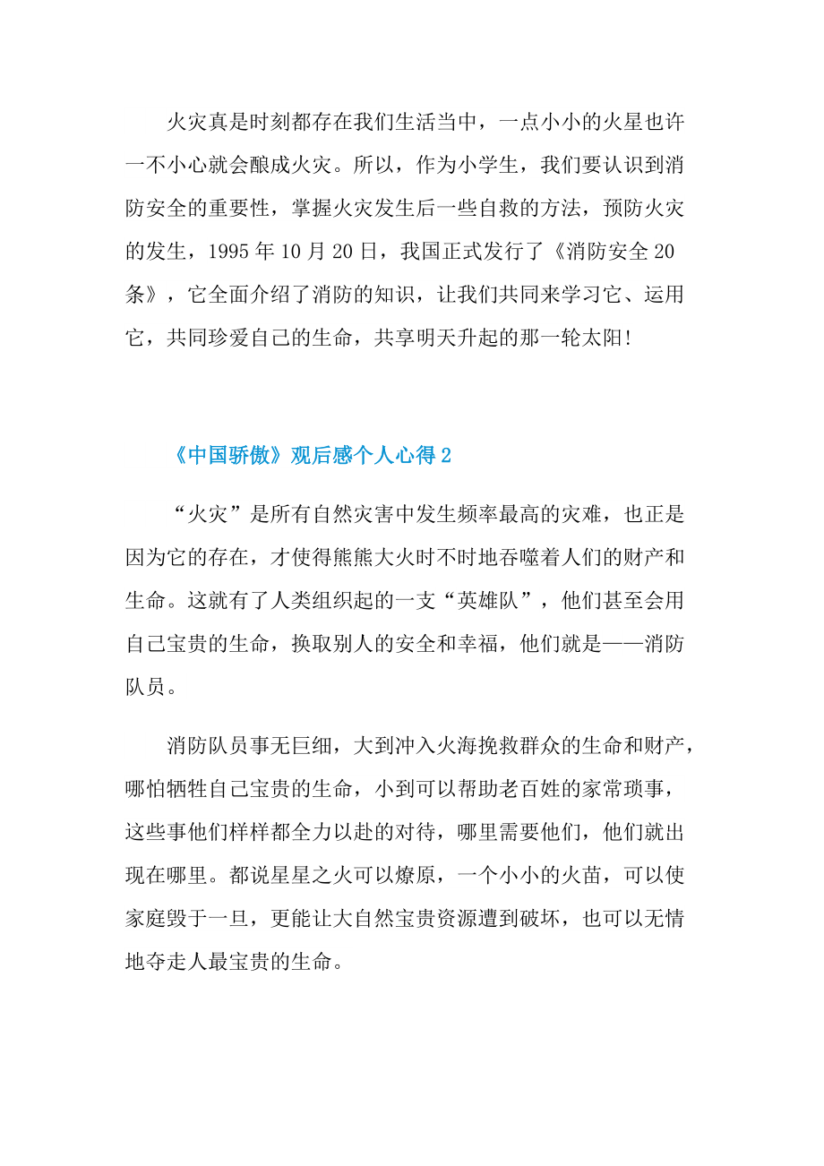 《中国骄傲》观后感个人心得精选5篇.doc_第2页