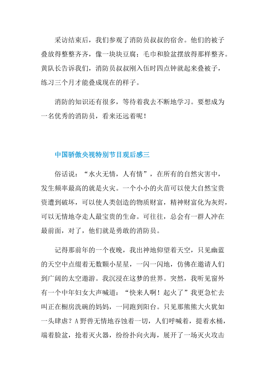 中国骄傲央视特别节目观后感5篇_1.doc_第3页