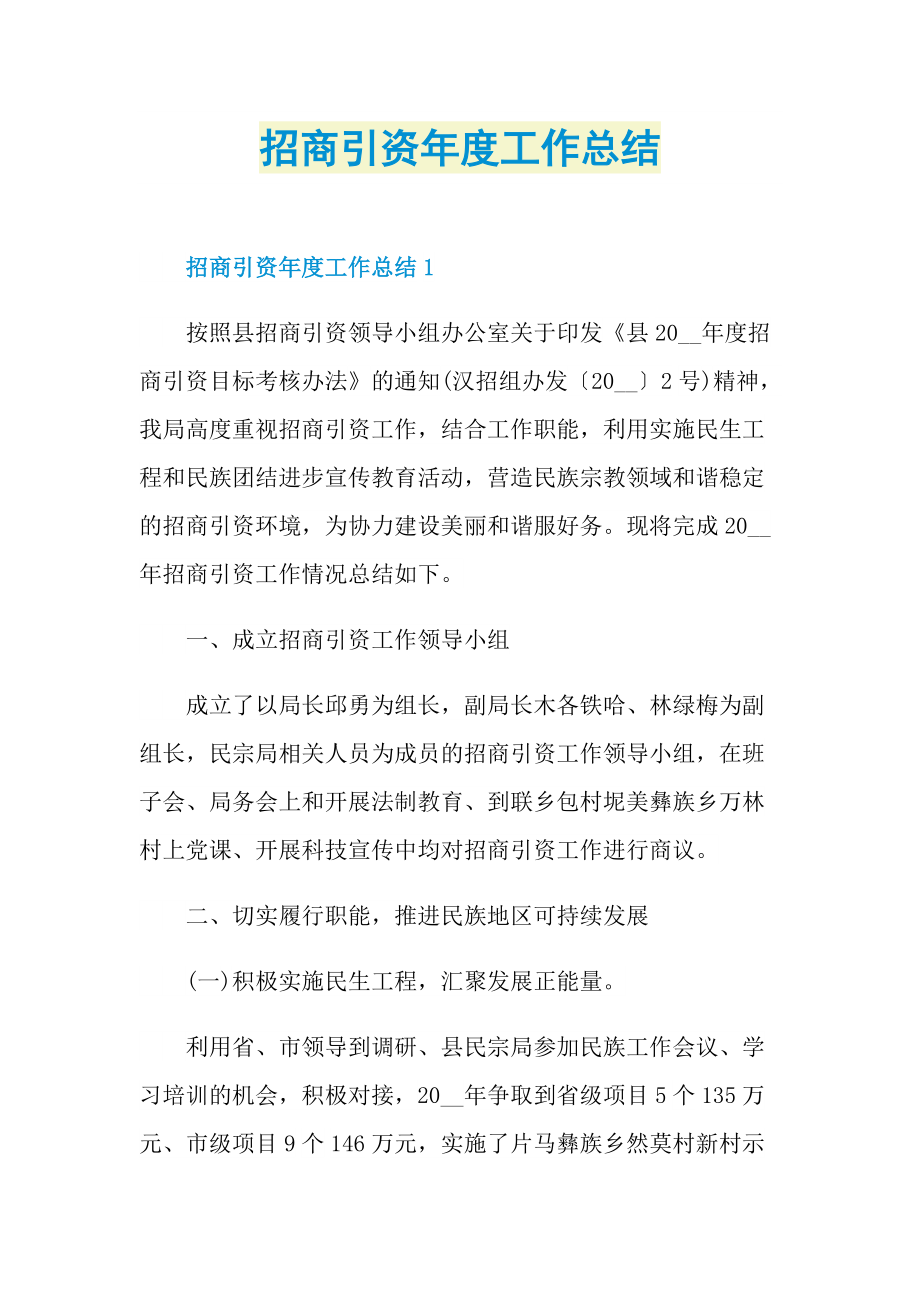 招商引资年度工作总结.doc_第1页