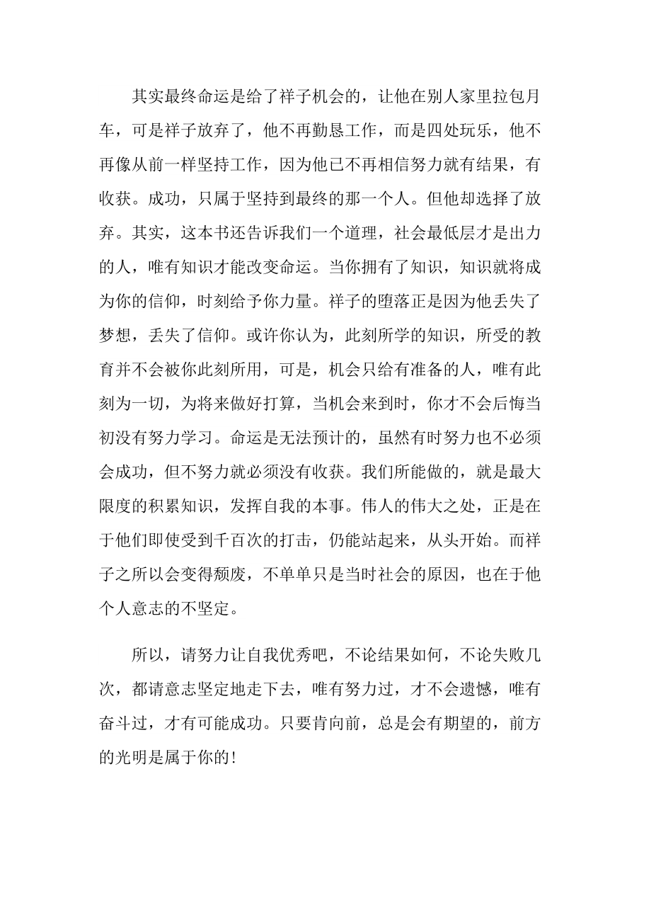 骆驼祥子课外书读后感心得.doc_第2页