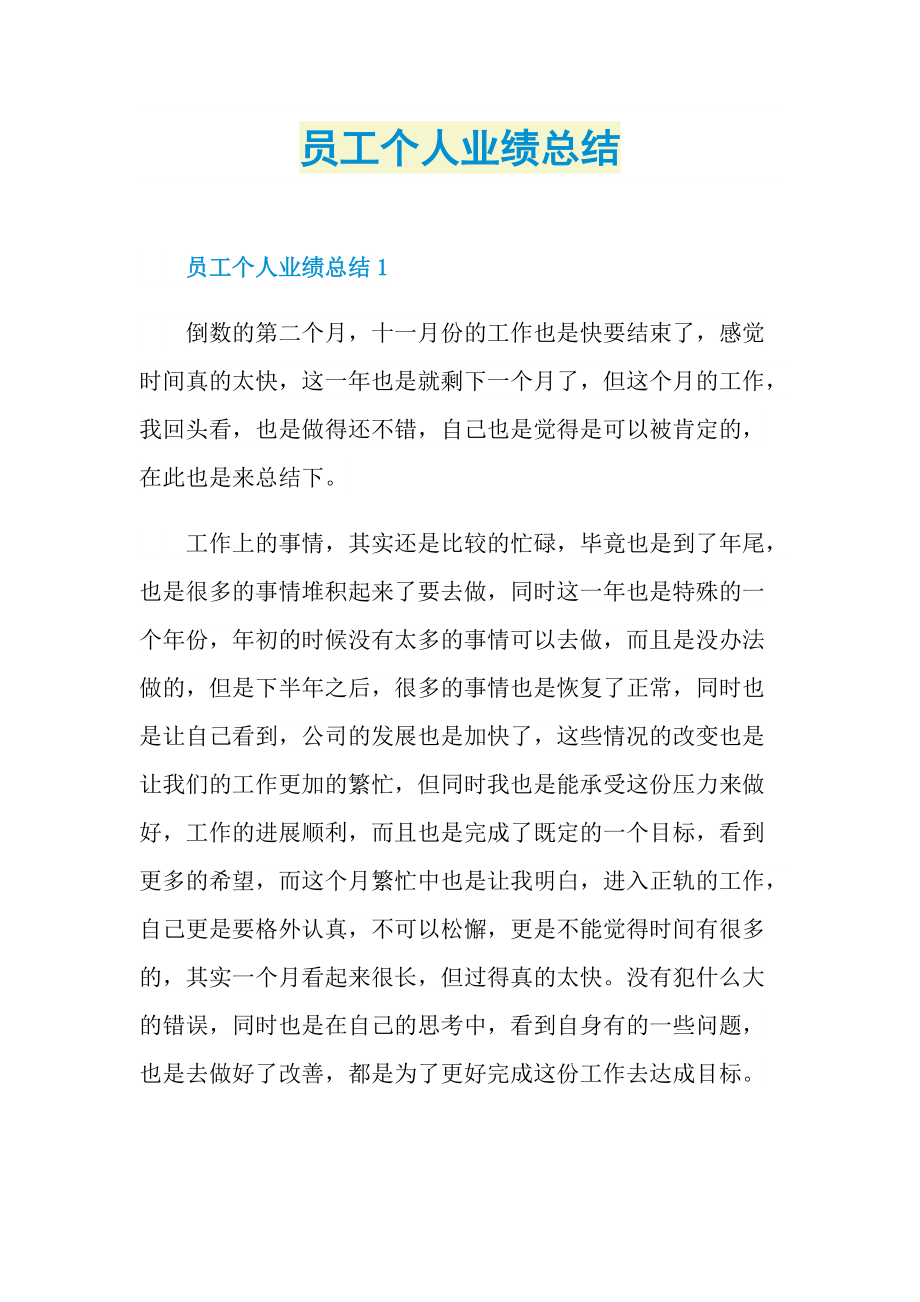 员工个人业绩总结.doc_第1页