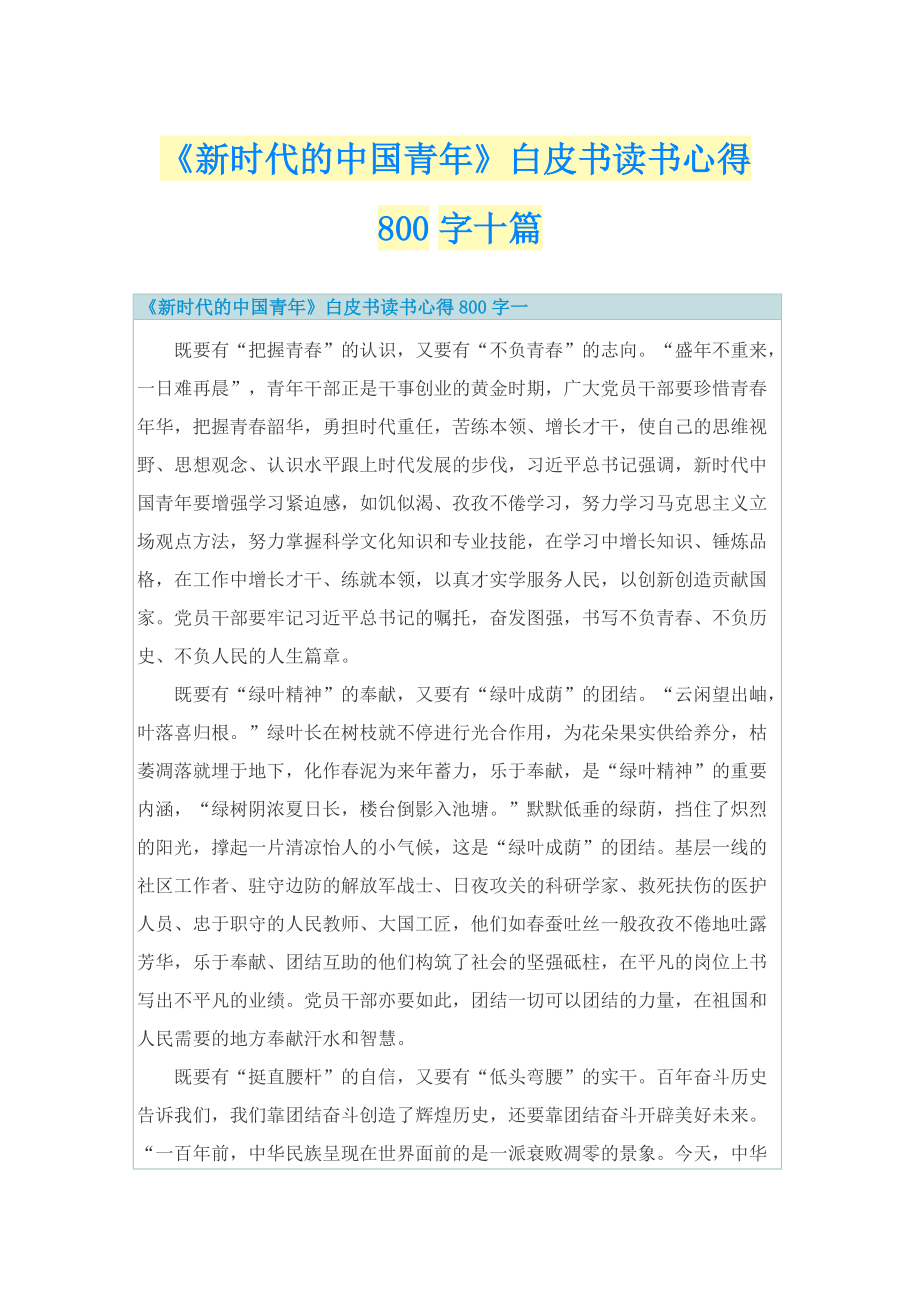 《新时代的中国青年》白皮书读书心得800字十篇.doc_第1页