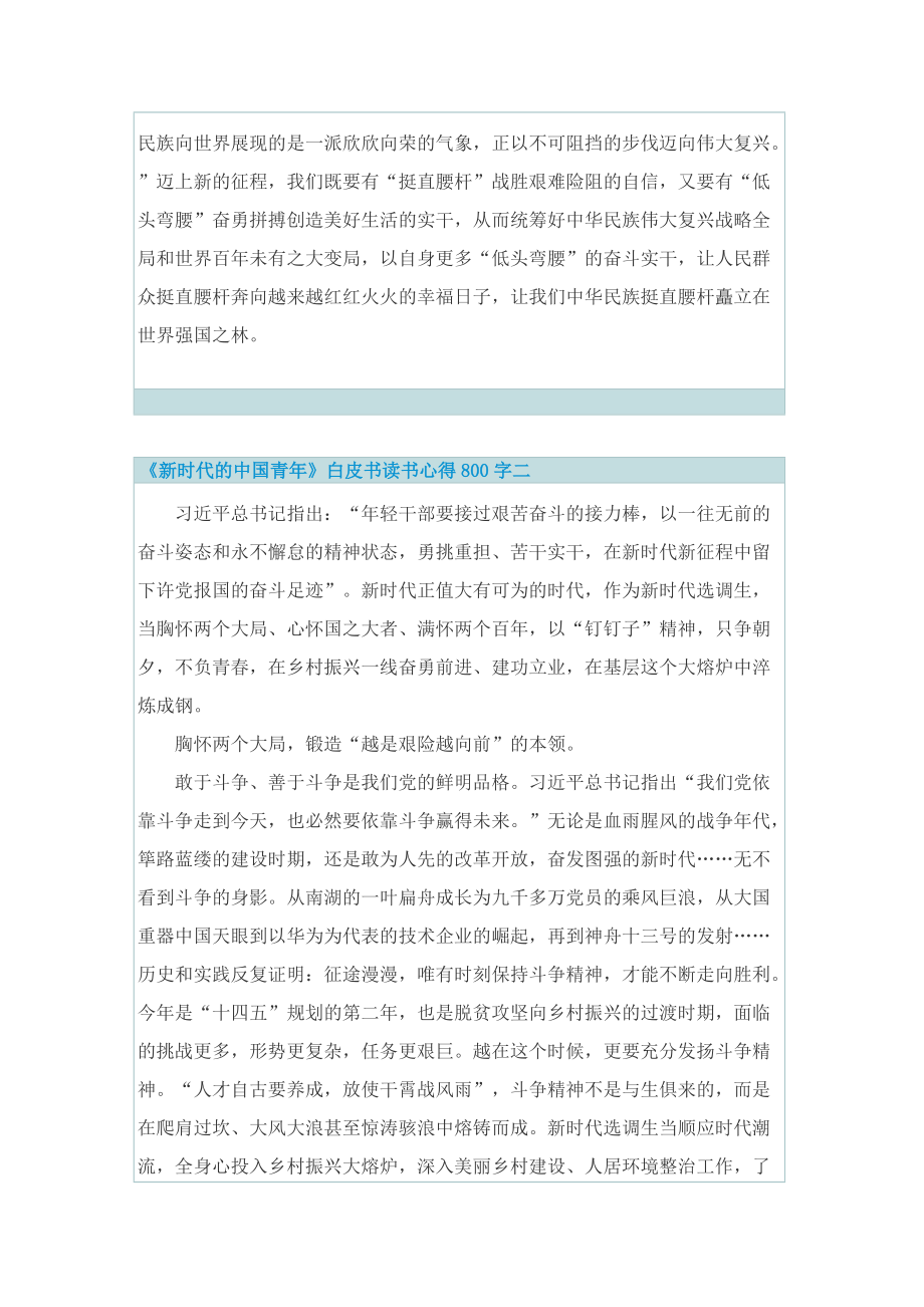 《新时代的中国青年》白皮书读书心得800字十篇.doc_第2页
