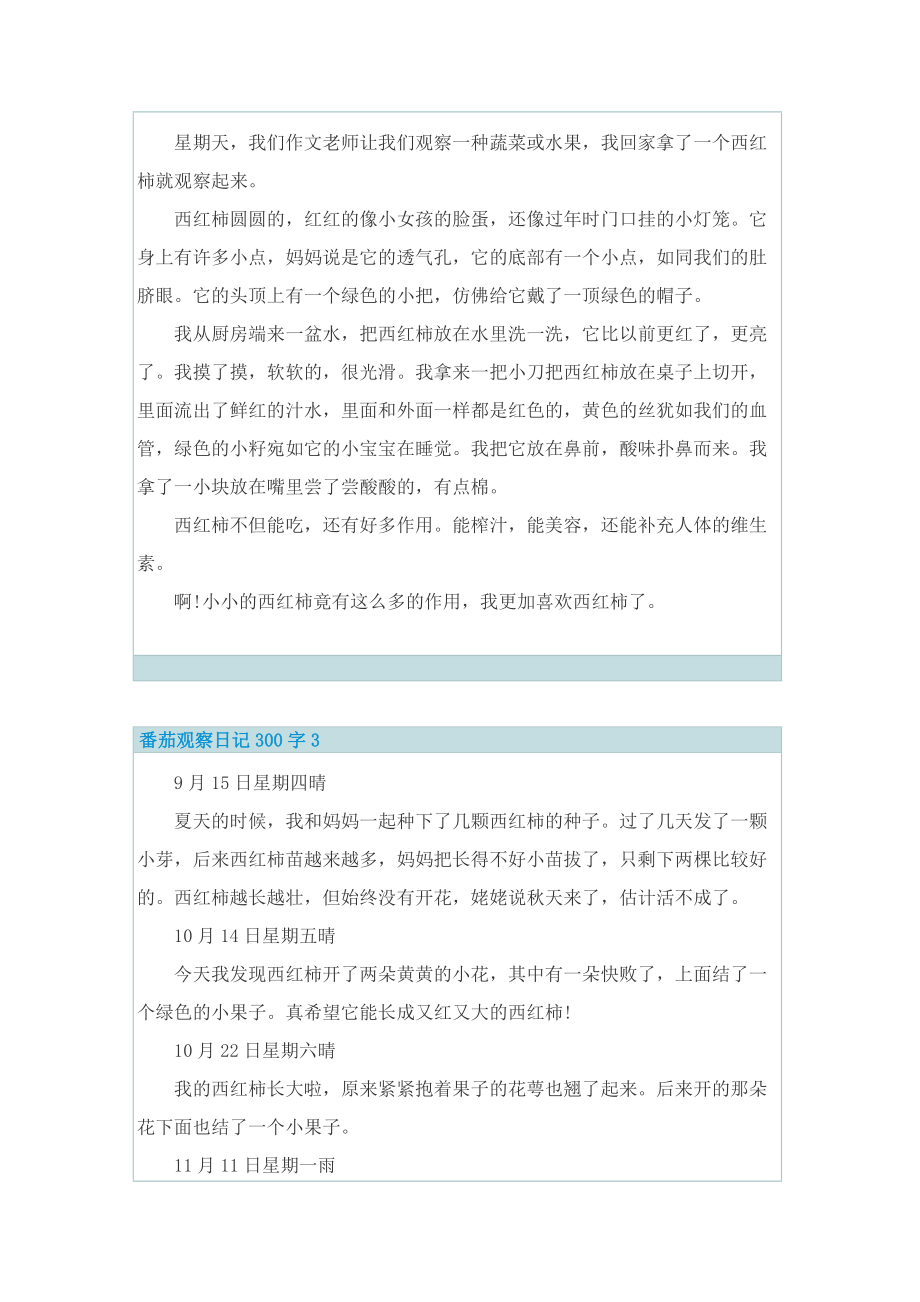 番茄观察日记300字10篇.doc_第2页