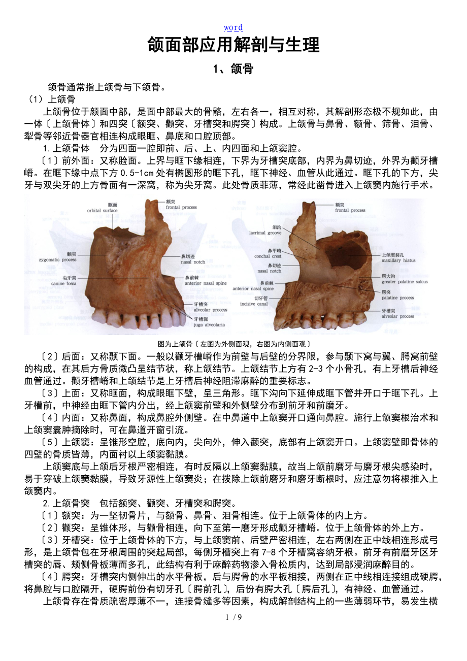 颌面部的应用解剖与生理.doc_第1页