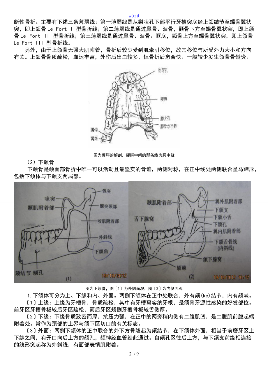 颌面部的应用解剖与生理.doc_第2页