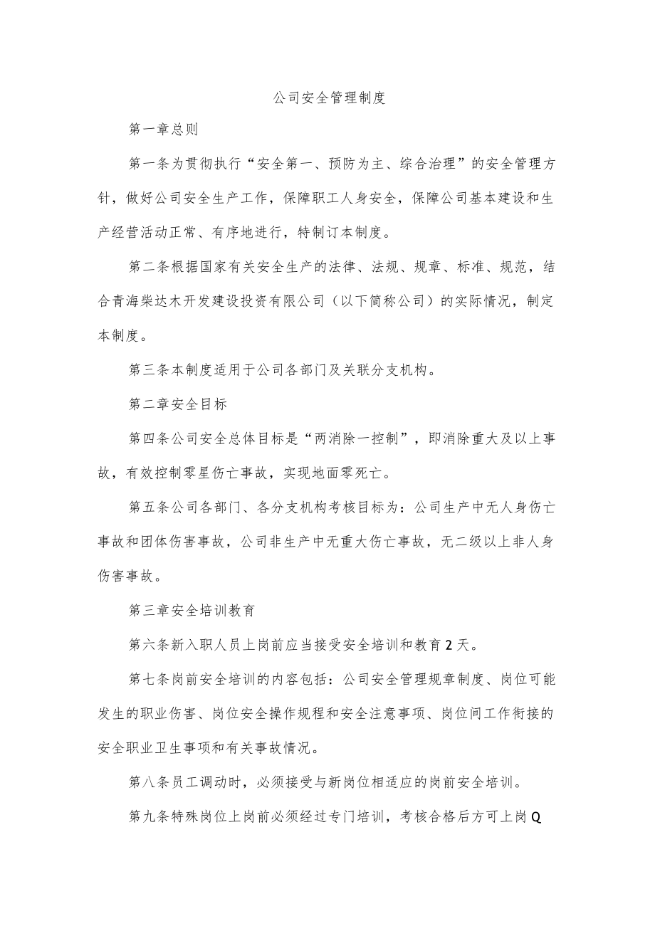 公司安全管理制度.docx_第1页