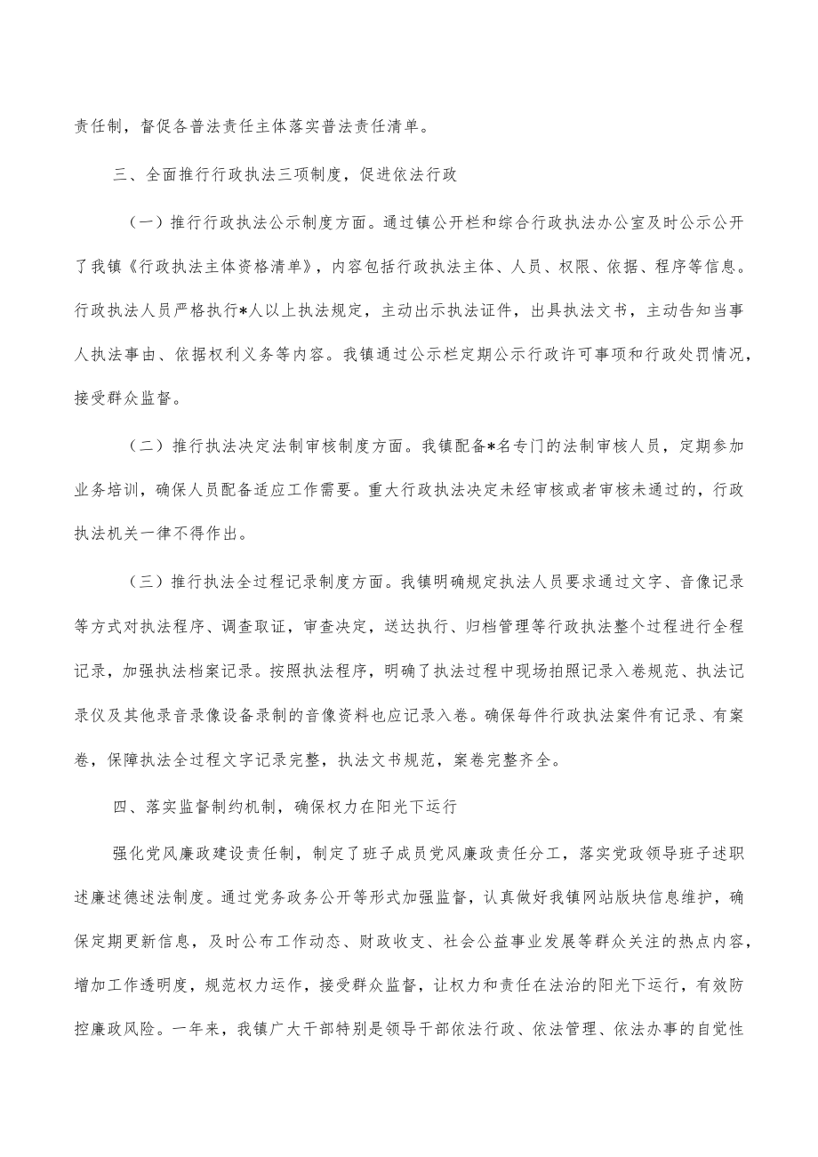 乡镇2022年述法报告总结.docx_第3页