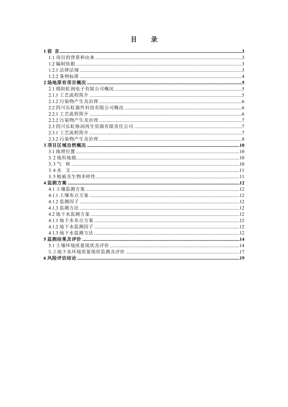 四川某工业园环境风险评估报告.doc_第2页