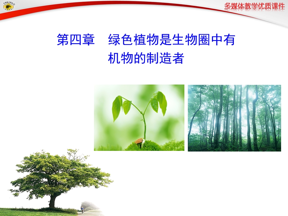 第四章绿色植物是生物圈中有机物的制造者.ppt_第1页