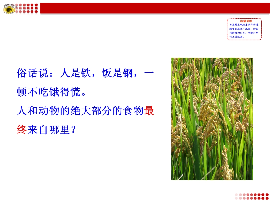 第四章绿色植物是生物圈中有机物的制造者.ppt_第2页