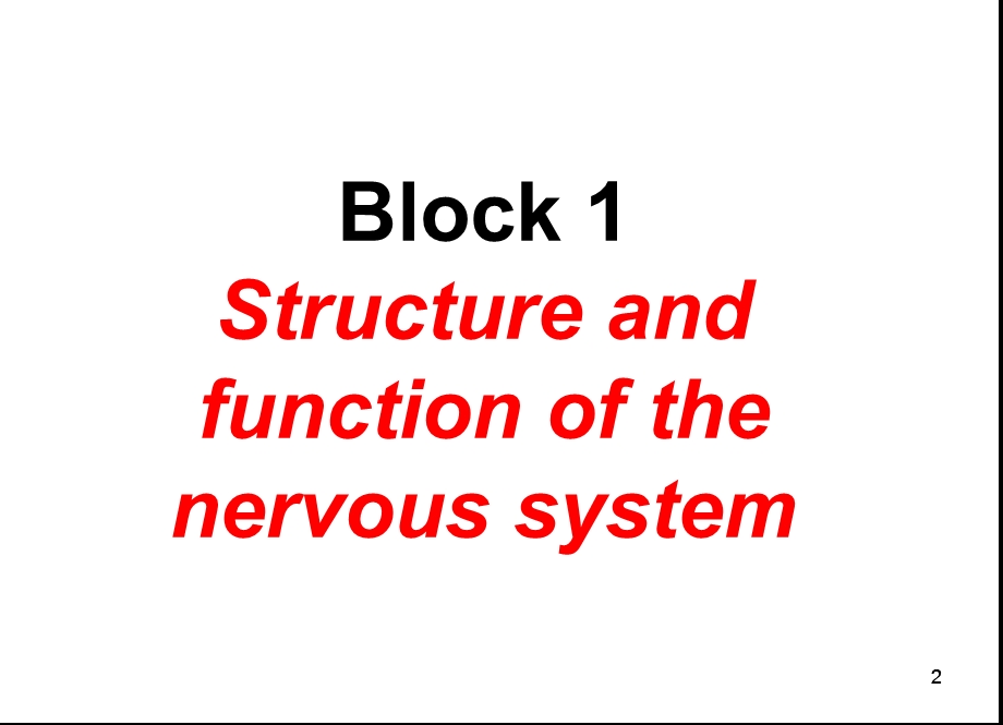 Block1ThenervoussystemRev.ppt_第2页