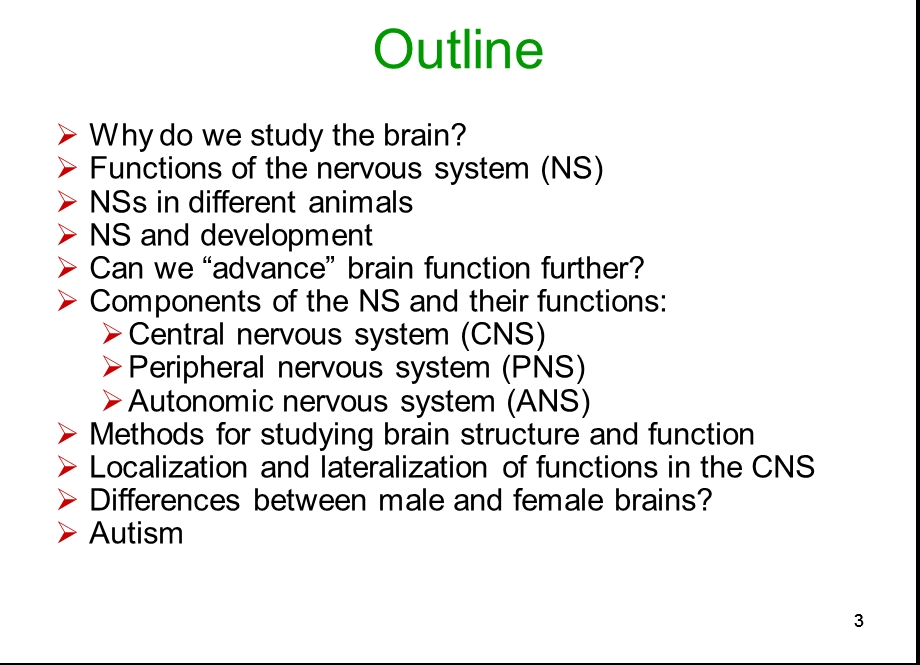 Block1ThenervoussystemRev.ppt_第3页