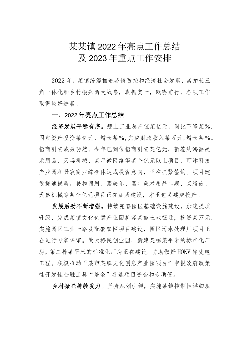 某某镇2022年亮点工作总结及2023年重点工作安排.docx_第1页