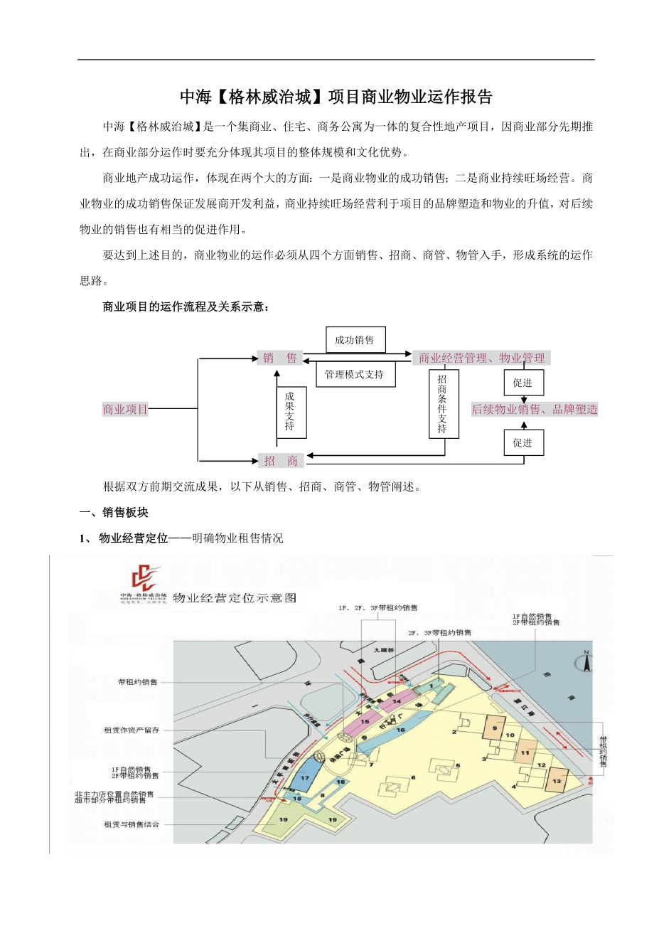 成都市某城商业物业运作研究报告书.docx_第1页