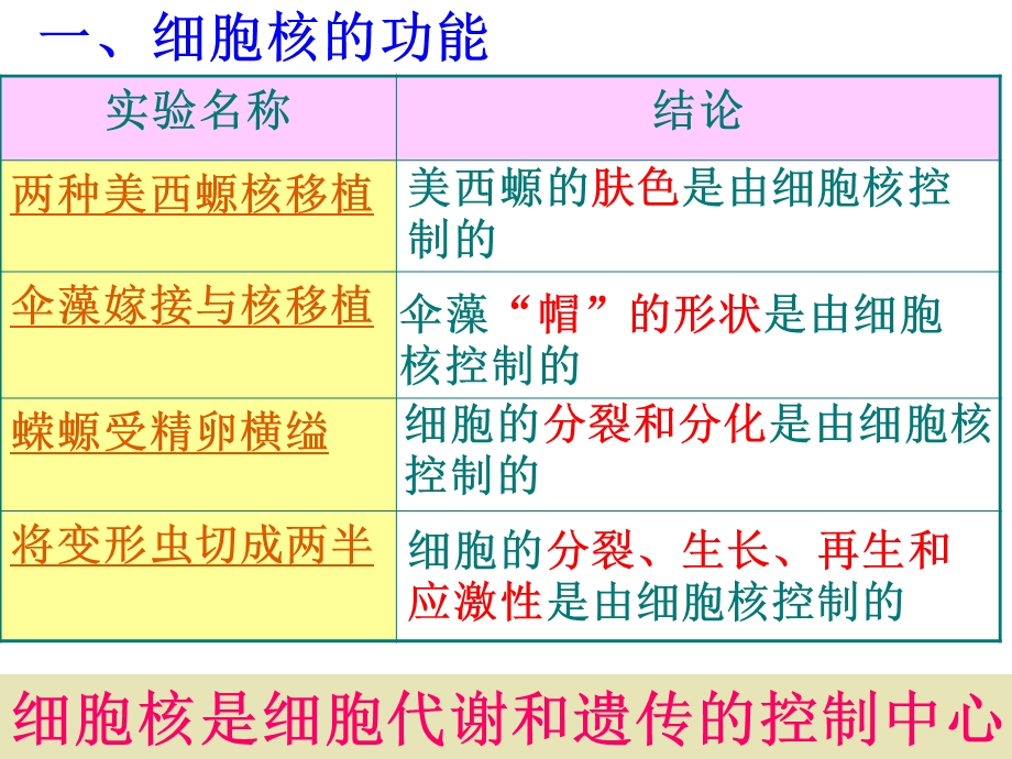 人教版高中生物课件：细胞核-系统的控制中心.ppt_第3页