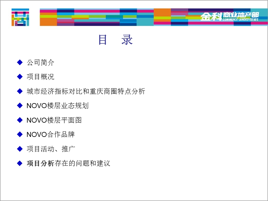 704443610重庆NOVO百货商业调查报告（） .ppt_第2页