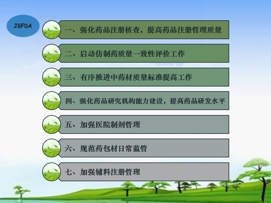 全省药品注册工作要点.ppt_第2页