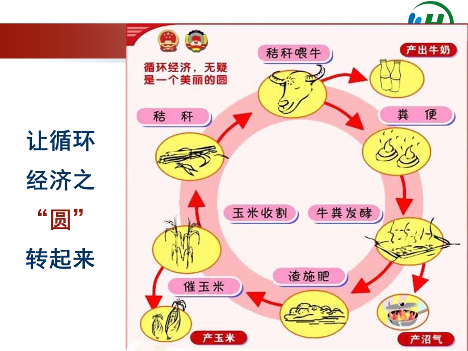 池塘养殖N营养.ppt_第3页