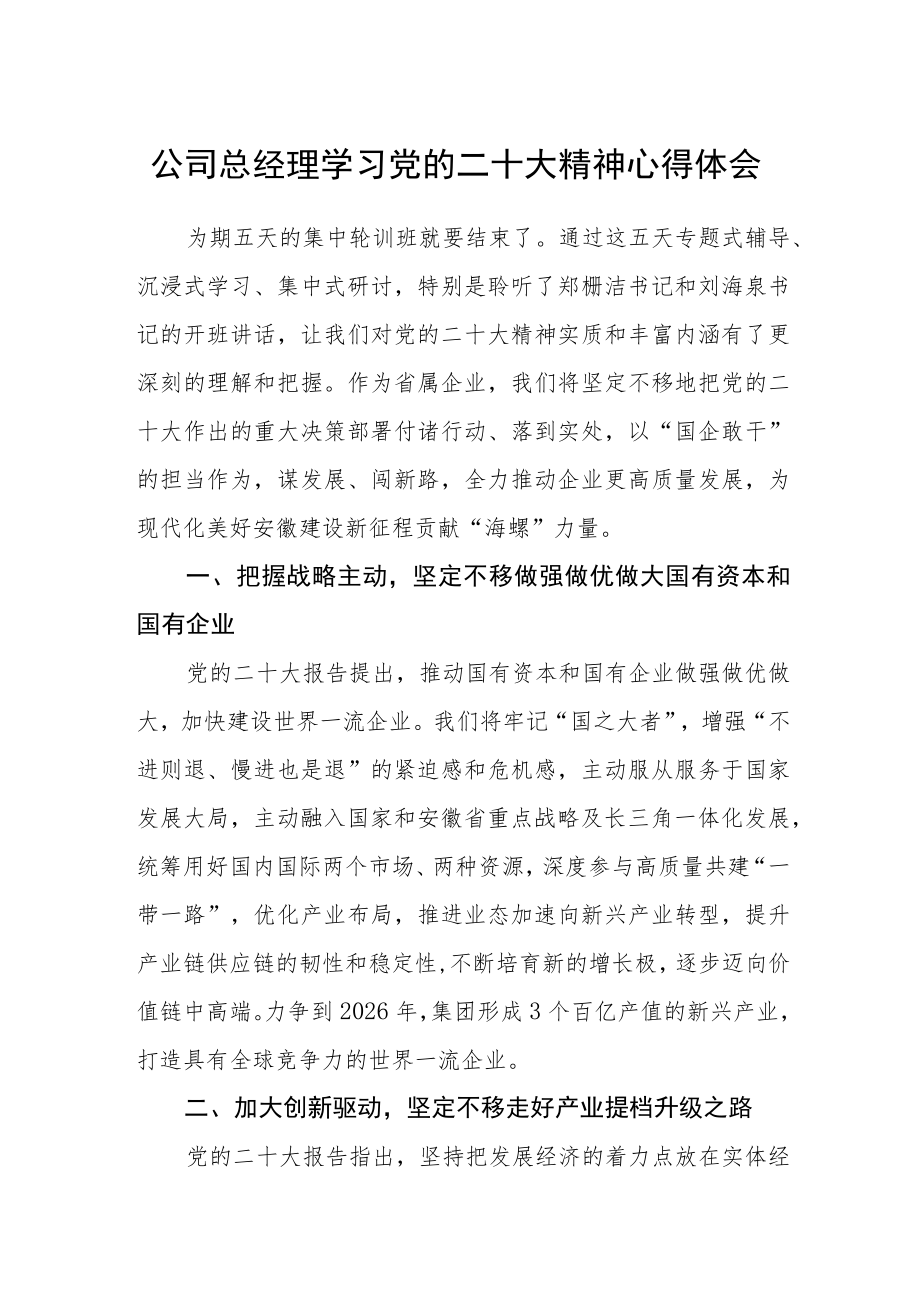 公司总经理学习党的二十大精神心得体会.docx_第1页