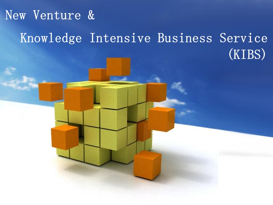 知识密集型服务业与创新Knowledge Intensive Business Service.ppt_第1页