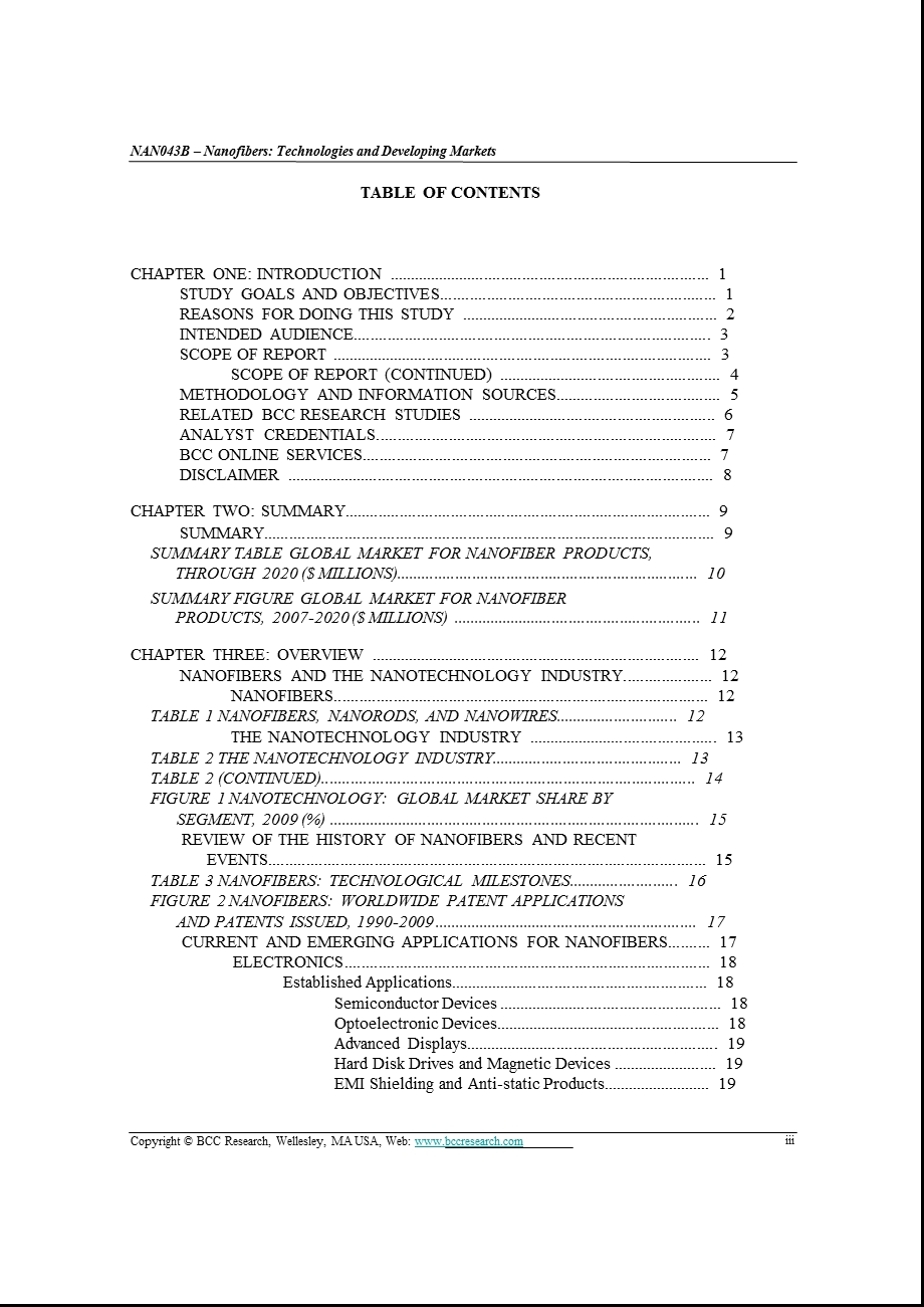 全球发展中国家的纳米技术市场分析报告.ppt_第3页