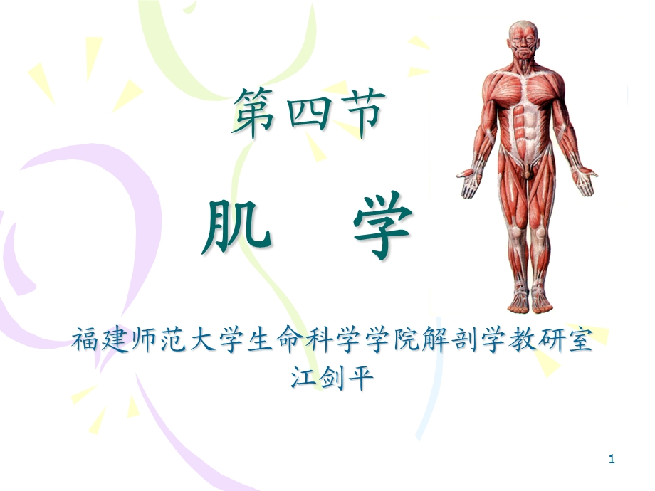 01.6运动系统肌学.ppt_第1页