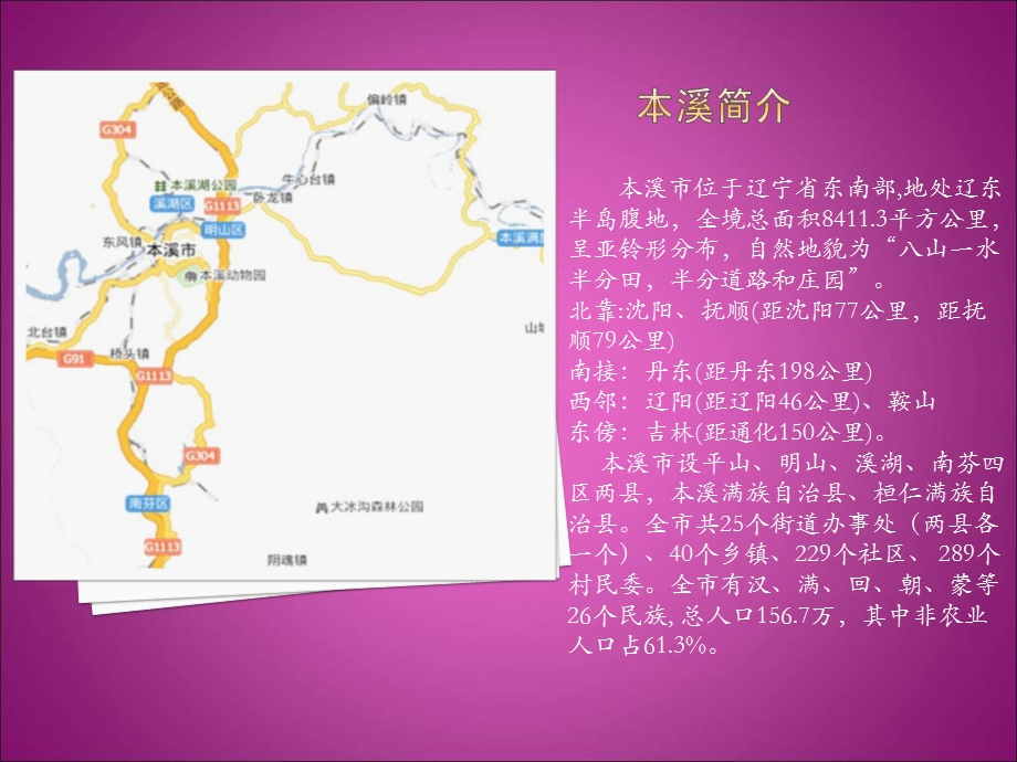 本溪某商业项目营销策划报告.ppt_第2页