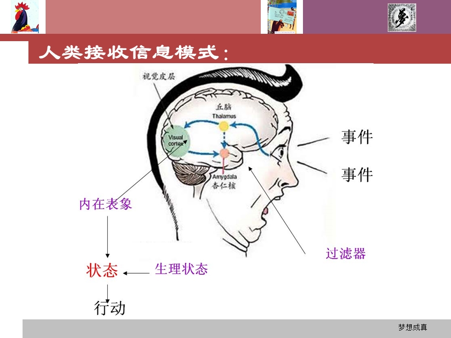 我们看到的不是真相梦想成真.ppt_第2页