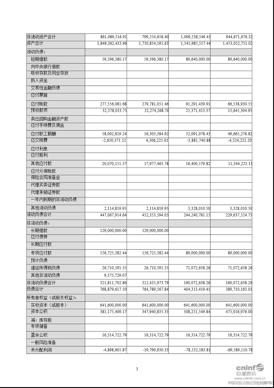 保定天鹅：审计报告.ppt_第3页