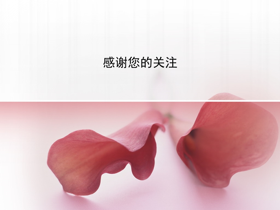 花瓣主题PPT ppt模板.ppt_第3页