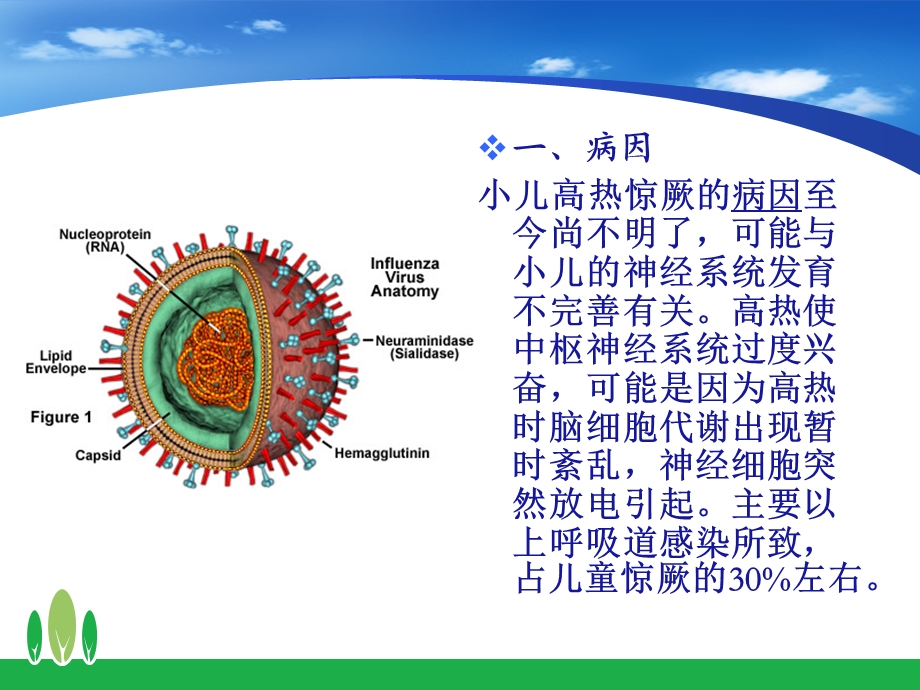 小儿高热惊厥的急救与护理.ppt_第3页