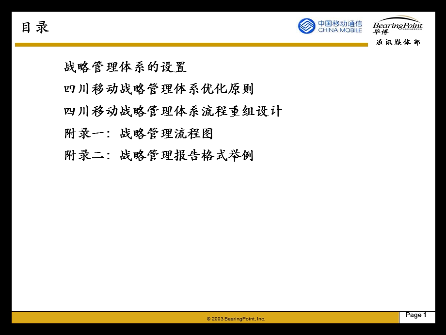 战略管理流程手册1(1).ppt_第2页