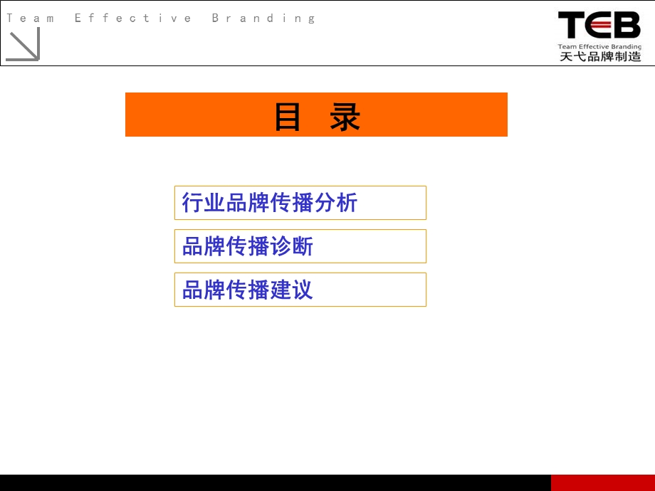 瑞斯乐品牌传播项目建议书anmy(1).ppt_第2页