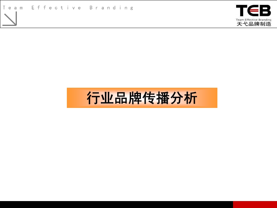 瑞斯乐品牌传播项目建议书anmy(1).ppt_第3页