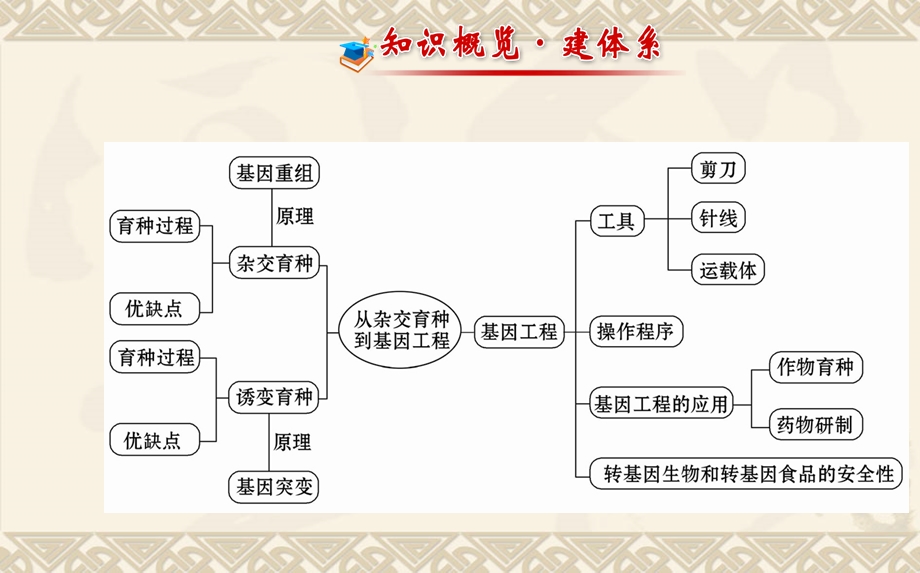 【金榜全程复习】2014届高三生物二轮收尾细致复习：必修2第6章从杂交育种到基因工程（63ppt）全国通用.ppt_第2页