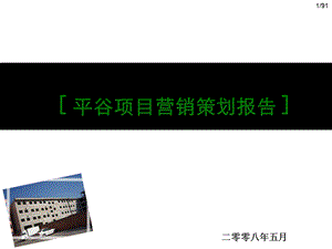 2008北京平谷项目营销策划报告 97p(1).ppt