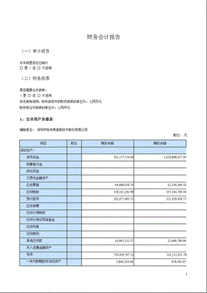 格林美：2012年半年度财务会计报告.ppt