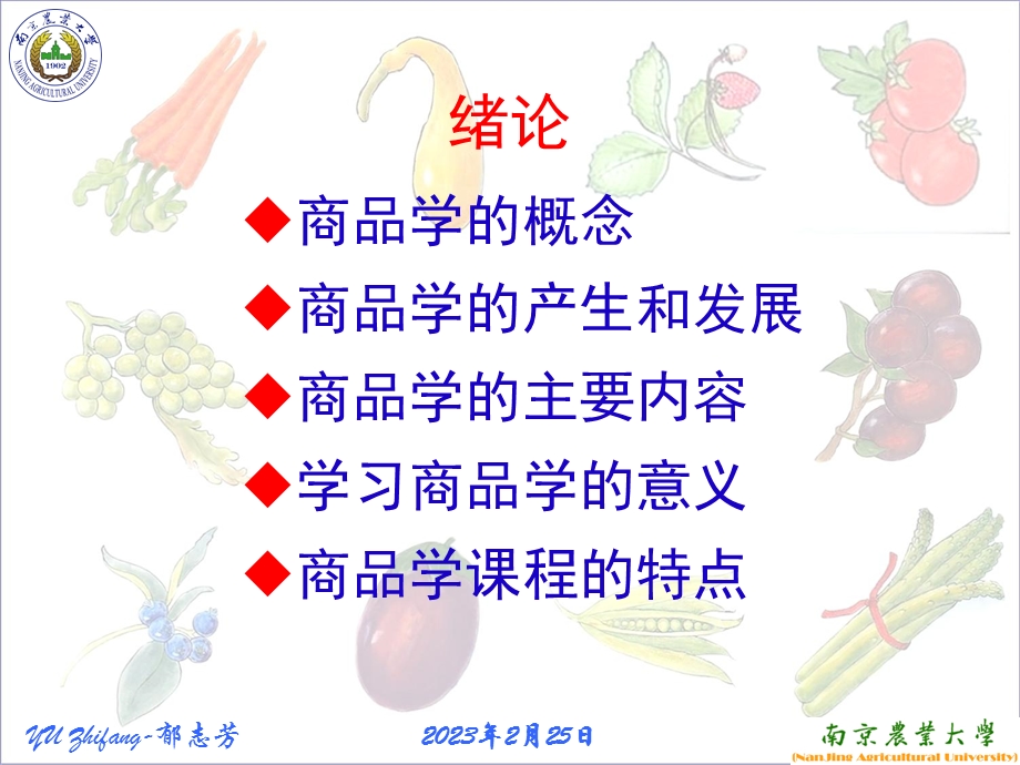 A商品学课程教学-绪论.ppt.ppt_第2页