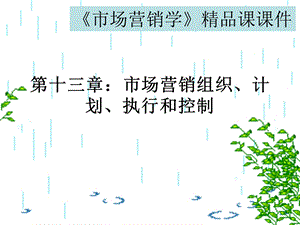 《市场营销学》精品课课件 第十三章：市场营销组织、计划、执行和控制(1).ppt