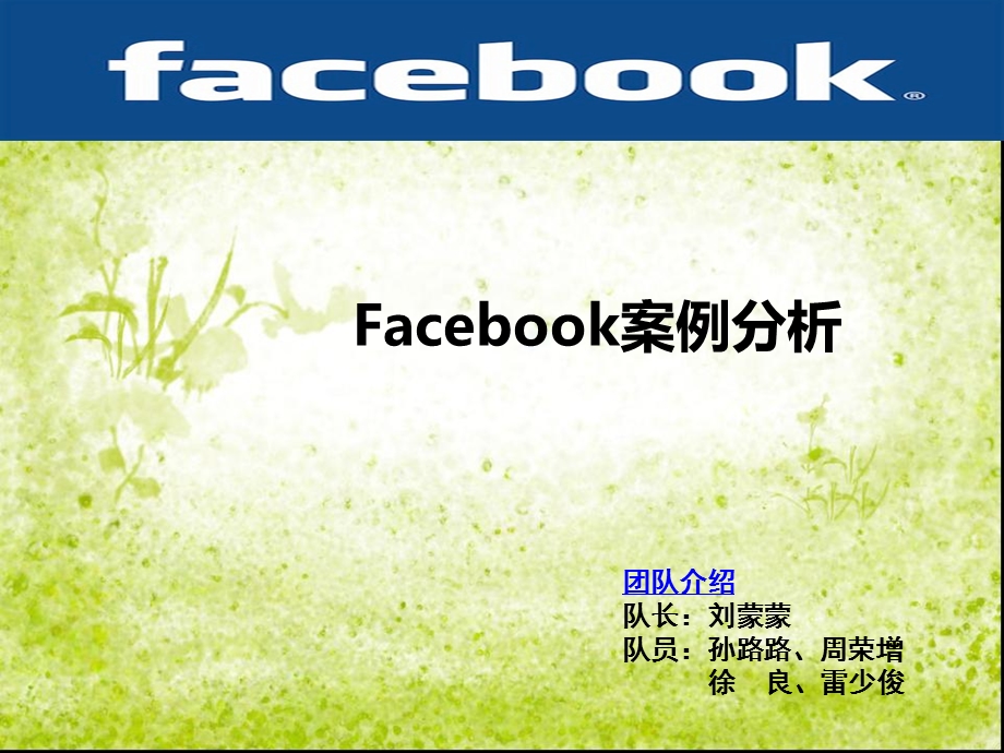 facebook案例分析.ppt_第1页