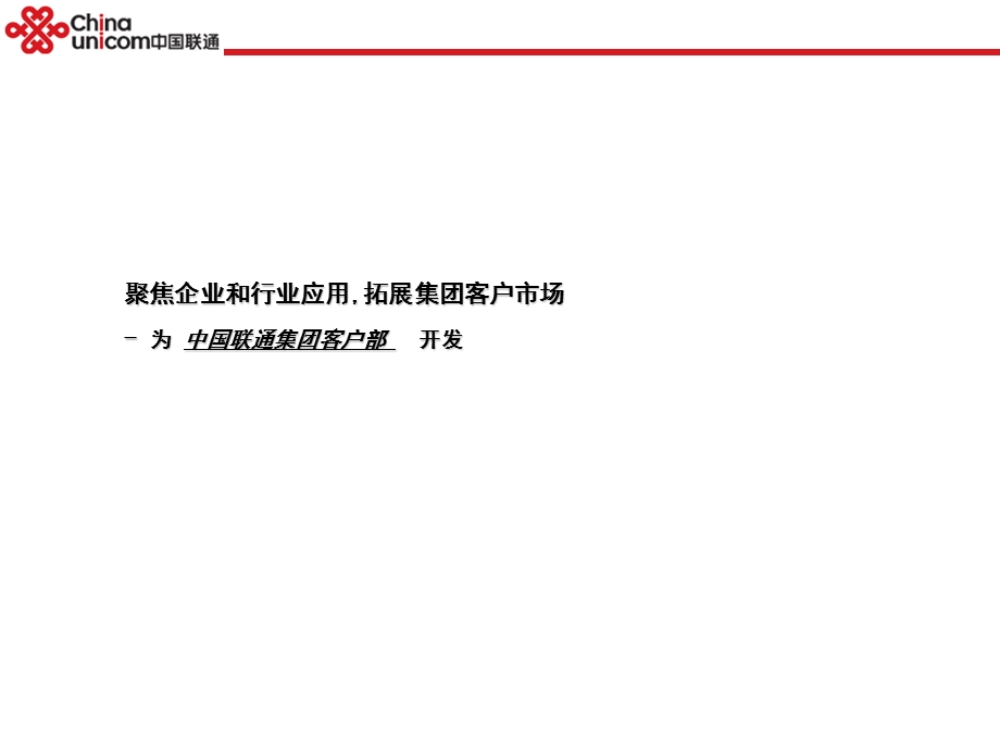 2009年中国联通集团客户规划报告(1).ppt_第1页