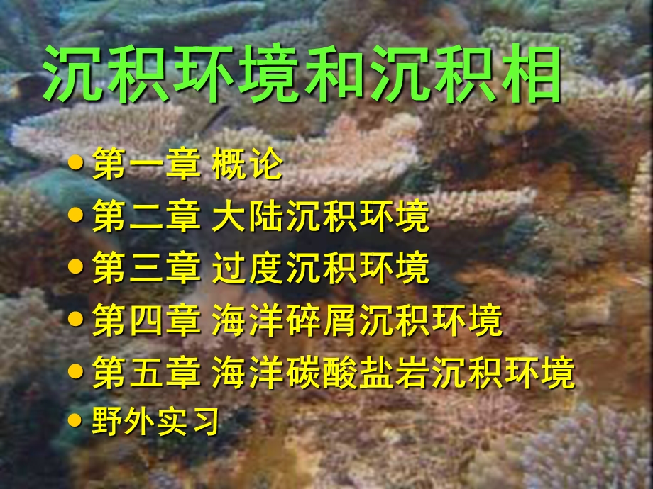 沉积相与沉积环境.ppt_第3页