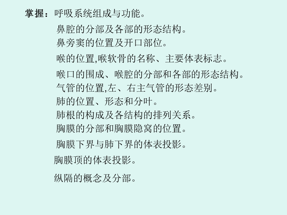 呼吸系统(1).ppt_第2页