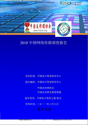 2010中国网络传销调查报告.ppt