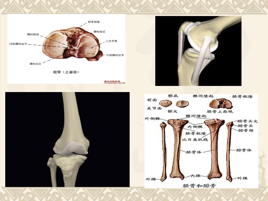 胫骨平台骨折最好的PPT.ppt_第3页